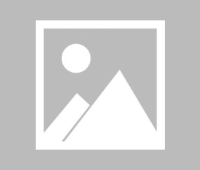 开云中国区-莱昂破球荒找回感觉，米兰止连平重回胜轨