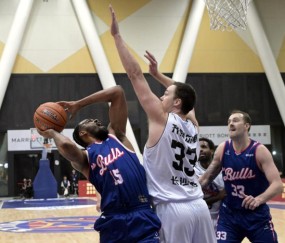 开云智能平台-NBL：香港金牛胜湖南长沙勇胜|香港金牛队|全国男子篮球联赛|男子篮球联赛|启德体艺馆|新华社_新浪体育_新浪新闻