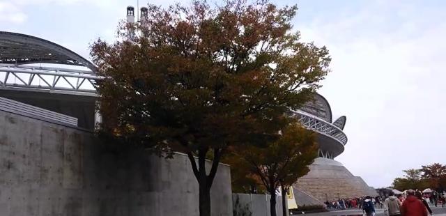 1666625862792074607.png image.png